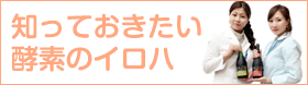 知っておきたい酵素のイロハページへ