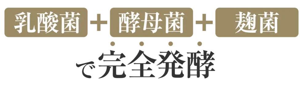 乳酸菌+酵母菌+麹菌で完全発酵